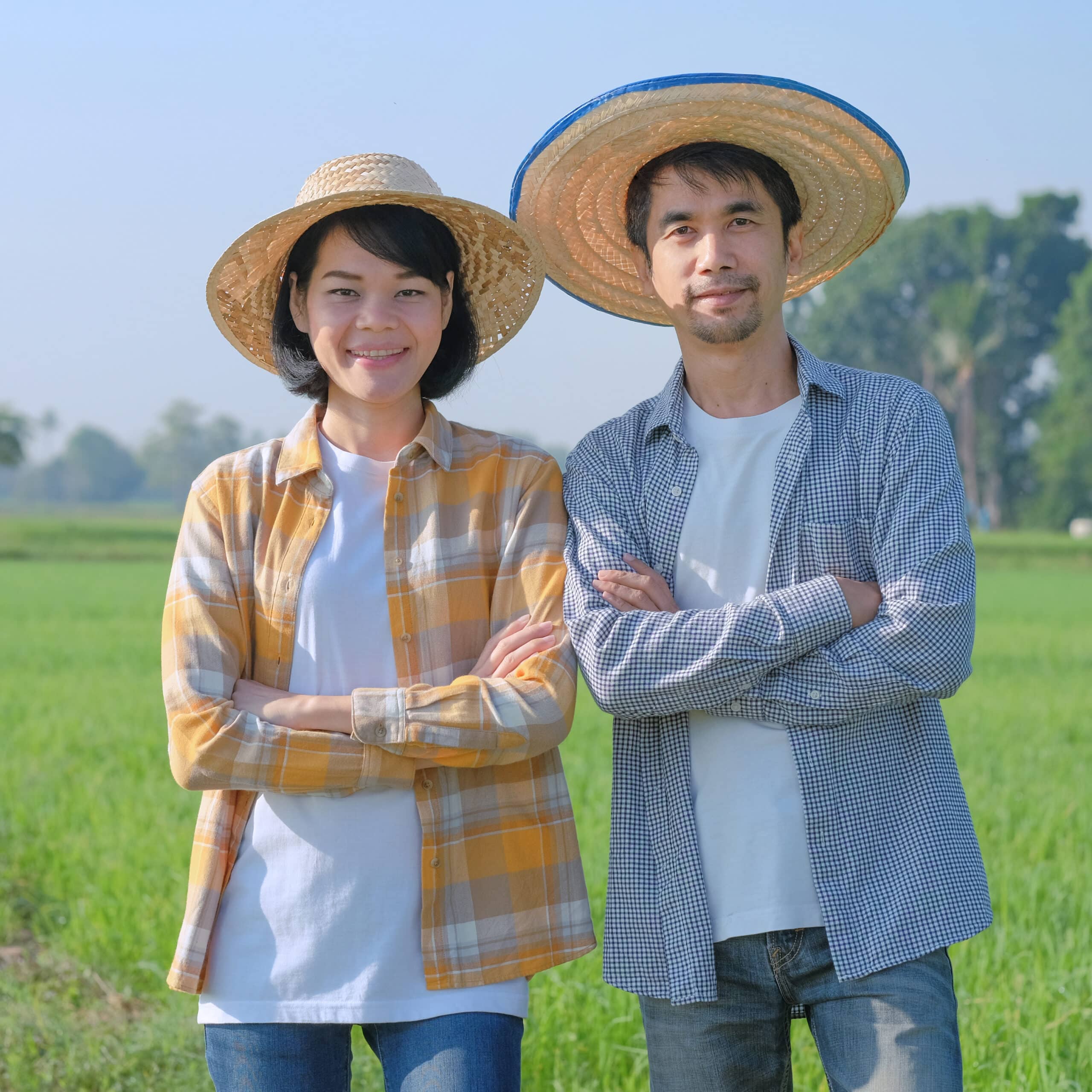 Mei Li and Hiroshi Tanaka